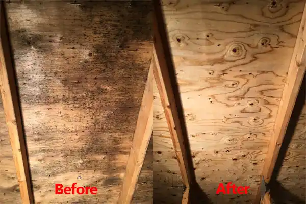 water damage restoration service Pilot Grove